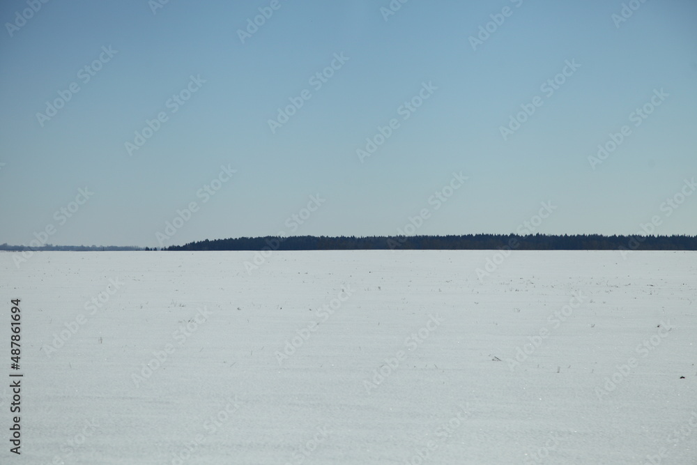 Beautiful endless winter field with forest on horizon and blue clear sky at winter day. European natural landscape.