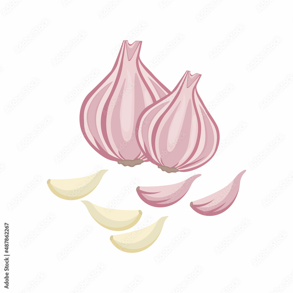 Garlic highlighted on white background. Vector color illustration of sliced garlic, garlic clove, garlic bulb in cartoon flat style