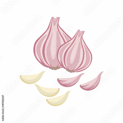 Obraz na płótnie Garlic highlighted on white background. Vector color illustration of sliced garlic, garlic clove, garlic bulb in cartoon flat style w salonie