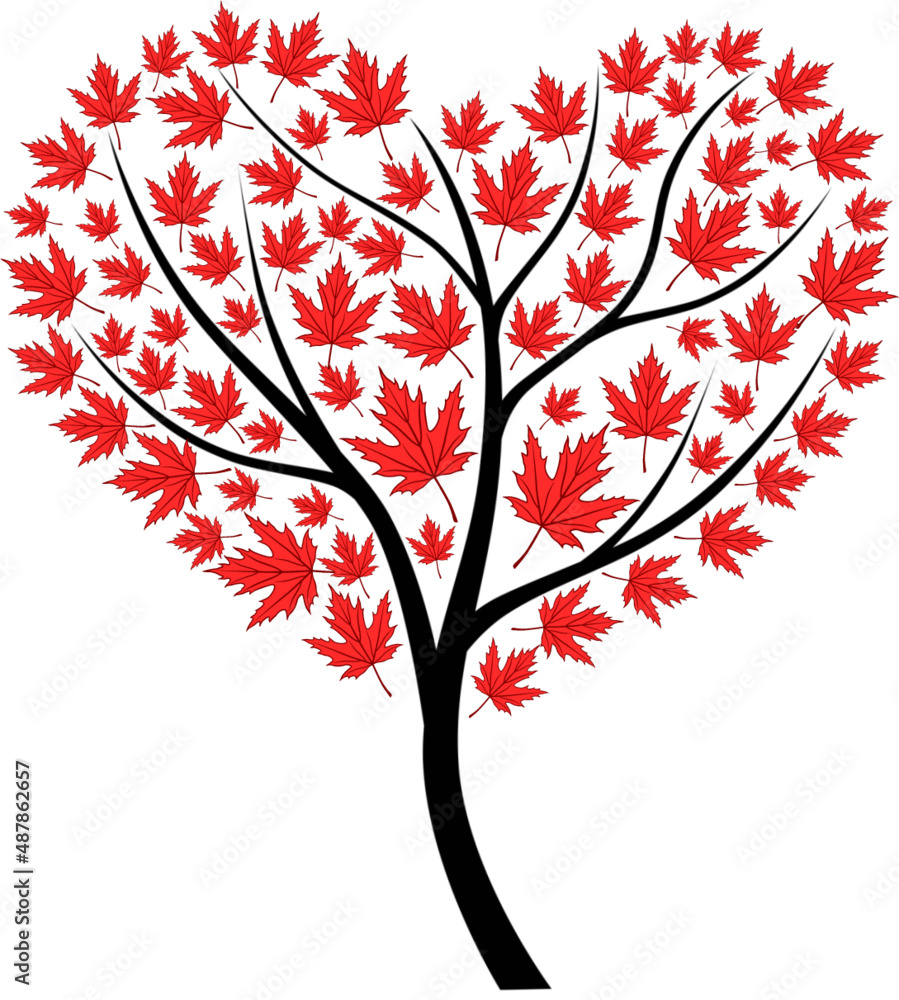 Silhouette of the heart of the maple tree Silhouette of the heart of the maple tree