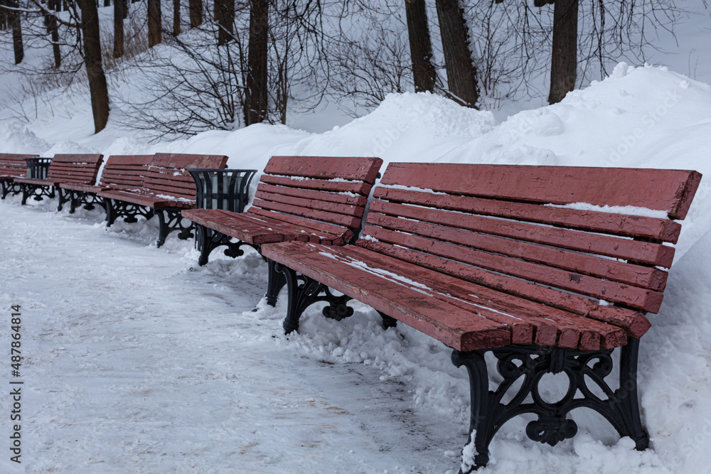 wooden benches stand in a row in the winter in the park