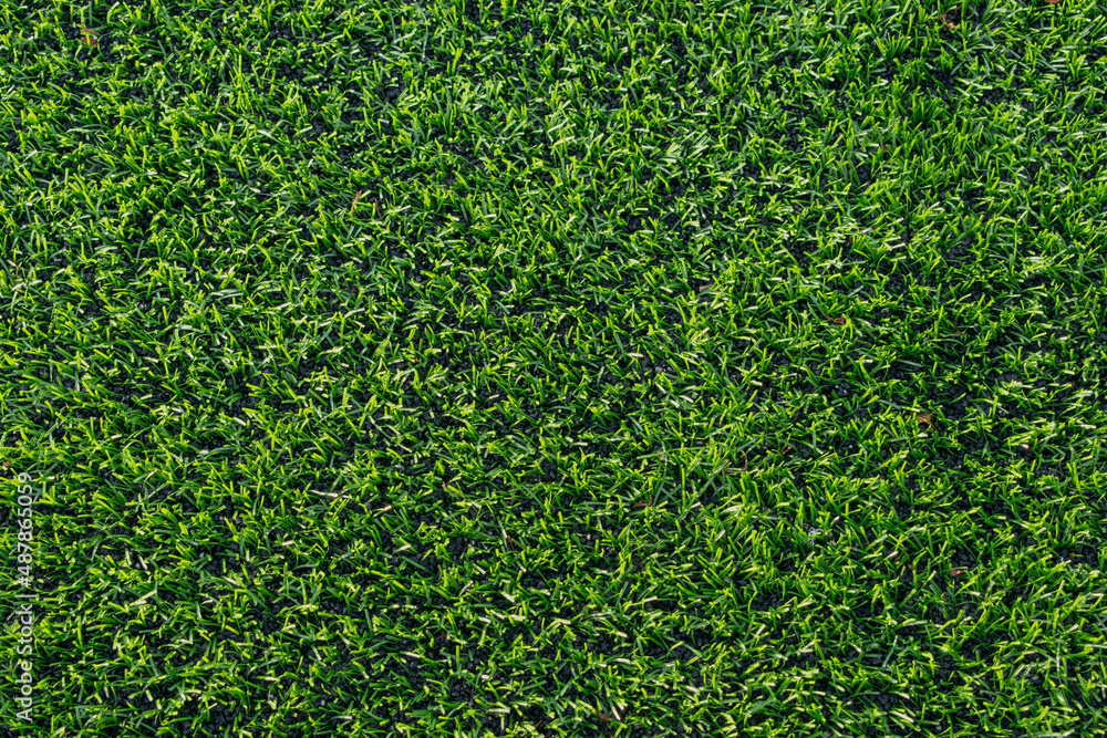 lawn with green grass lawn with green grass