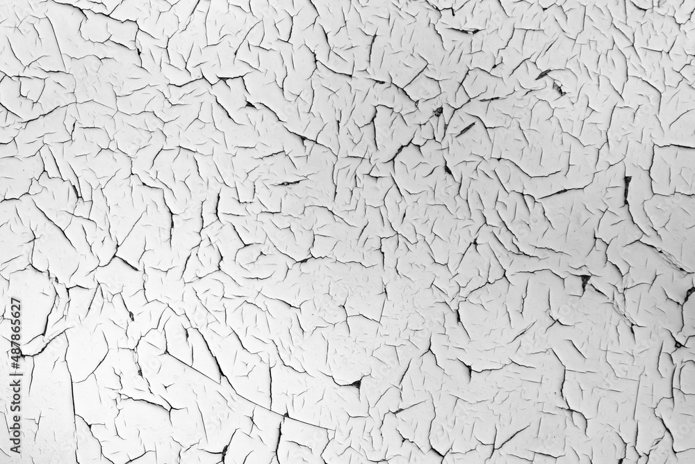 White cracked texture. Damaged, aged and weathered surface. White cracked texture. Damaged, aged and weathered surface.