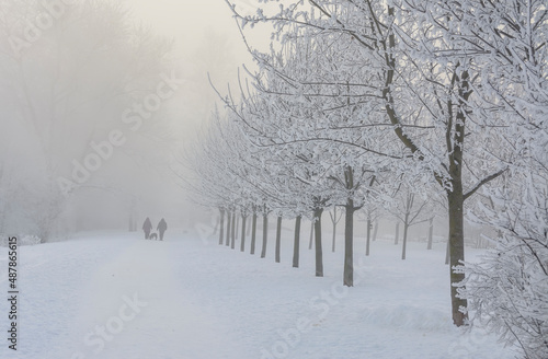 Frosty foggy February day on the banks of the Neva.