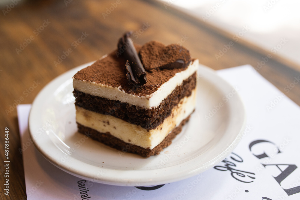 tiramisu with chocolate in decoration branch tiramisu with chocolate in decoration branch