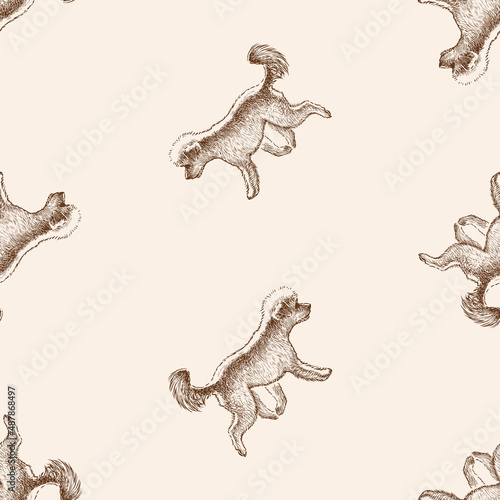 Seamless pattern from sketches of cute brown running poodle