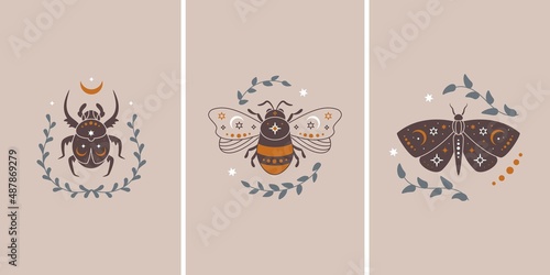 Vector illustration set of celestial butterfly, bee and bug with leaves. Vintage magic insect, esoteric symbol, mystical composition.