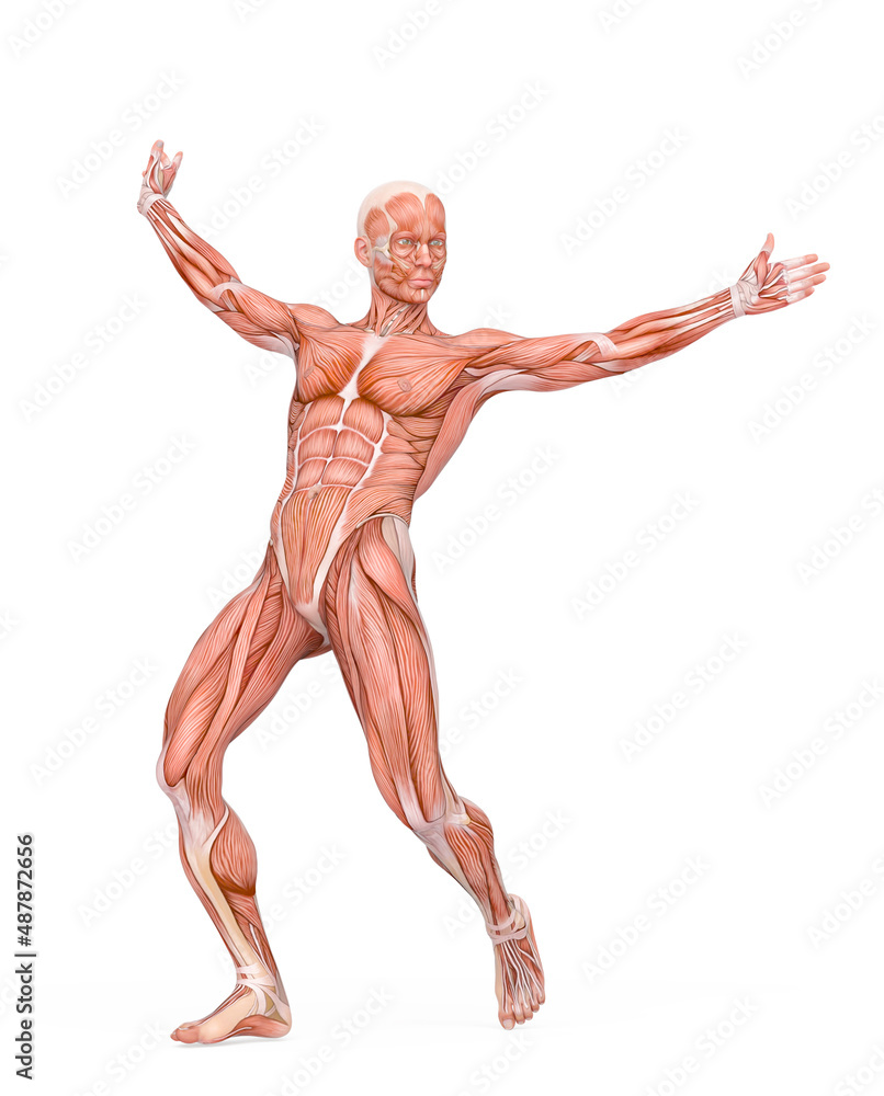average man muscle maps is doing a free hiphop dance average man muscle maps is doing a free hiphop dance
