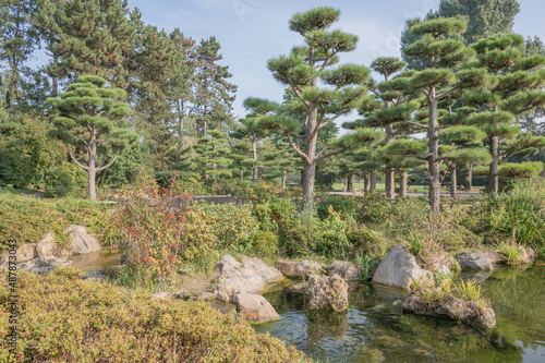 Japanischer Garten (Düsseldorf):Geplant und angelegt wurde der Japanische Garten in den 1970er Jahren vom japanischen Garten- und Landschaftsarchitekten Iwakii Ishiguro photo