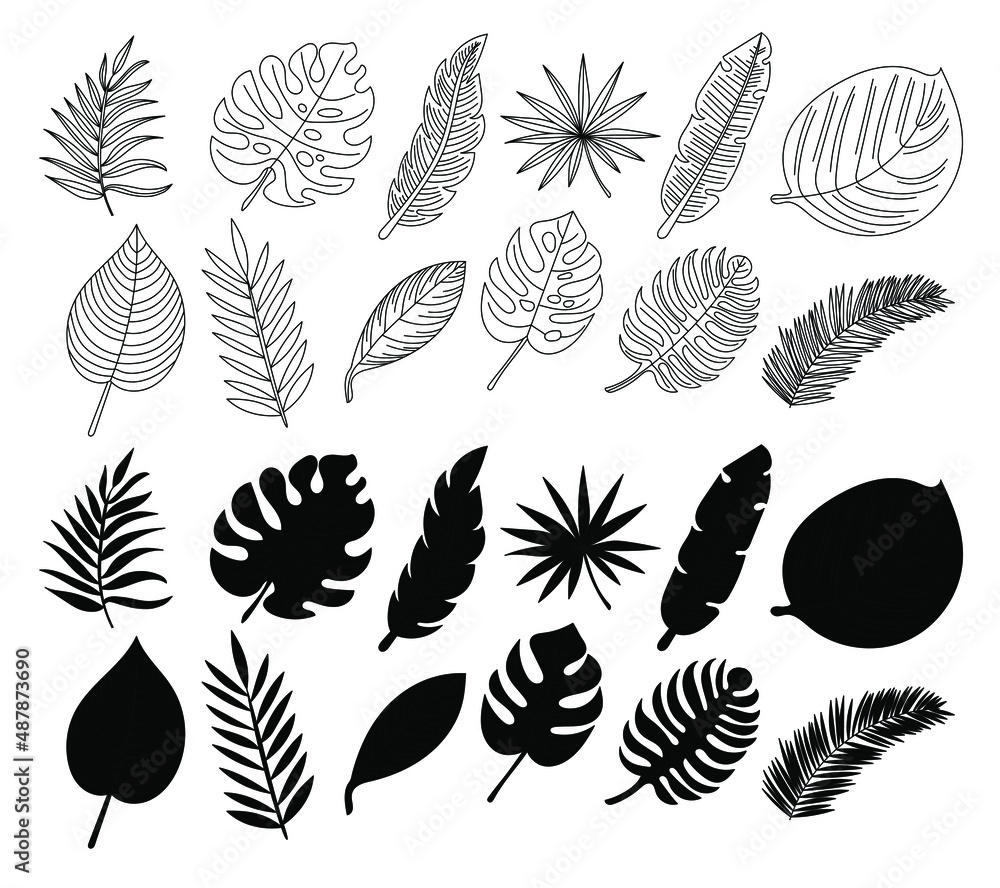 Εκτύπωση καμβά Collection of tropical leaves