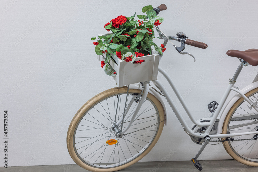 Close up view of unusual cute white bicycle decorated with red artificial flowers in wooden box. Sweden. 