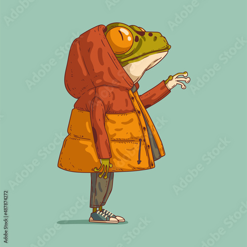 Cute admiring frog, vector illustration. Anthropomorphic frog in a down jacket, standing in profile, looking up at something and reaching for it with his hand. An animal character with a human body