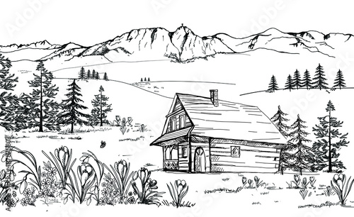 Obraz na płótnie Spring in the mountains. Mountain landscape with spring flowers, crocuses, snowdrops, tuulipans and daisies. Zakopane, Giewont in Podhale. Vector landscape, hand drawing. w salonie