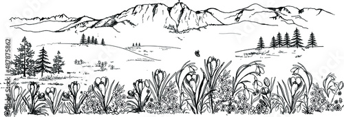Spring in the mountains. Mountain landscape with spring flowers, crocuses, snowdrops, tuulipans and daisies. Zakopane, Giewont in Podhale. Vector landscape, hand drawing.