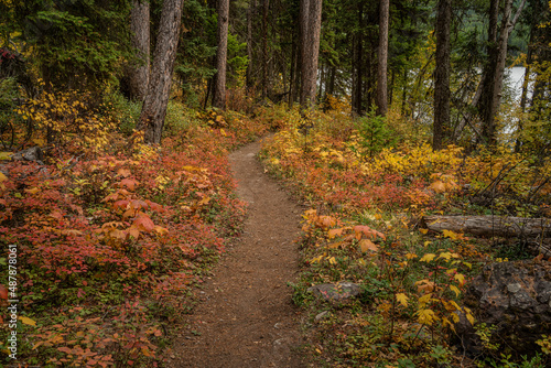 Bowman Lake Trail