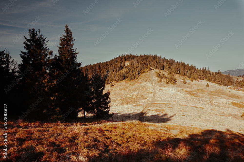 Górski krajobraz. Beskid żywiecki, okolice Wielkiej Rycerzowej, tzn