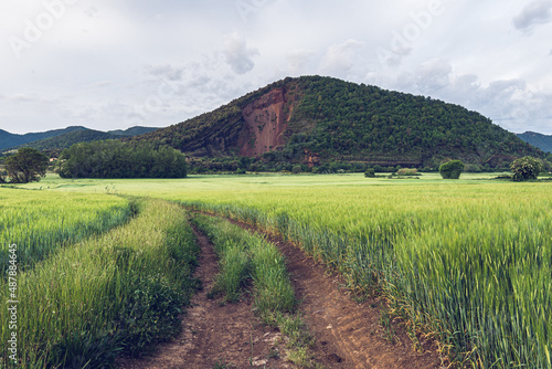 Beautiful sunrise in the countryside (Garrotxa Natural Park, Croscat Volcano, Catalonia, Spain) photo