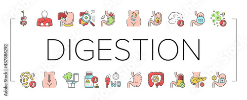 Digestion Disease And Treatment Icons Set Vector .