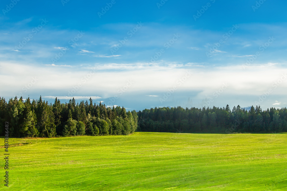 A bright green field, in the distance a forest and a clear blue sky.