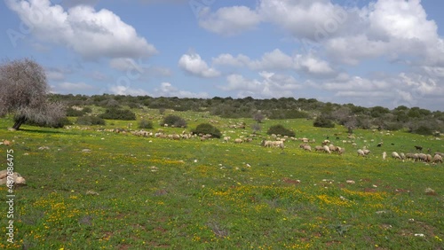A typical Israeli landscape in Adulam Park