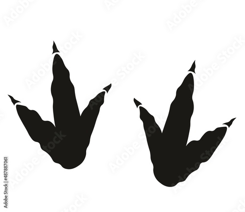 Dinosaur tyrannosaurus Rex footprint isolated on white background