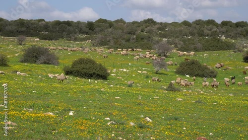 A typical Israeli landscape in Adulam Park