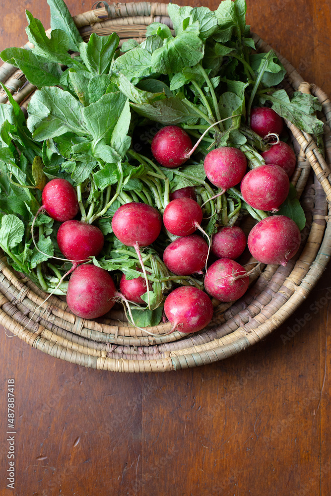 Top View of Freshly Picked Organic Radishes in a Rustic Basket on a Wooden Table Top View of Freshly Picked Organic Radishes in a Rustic Basket on a Wooden Table