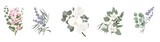 Vector set for floral design. Lavender flowers, white sakura, orchid, magnolia, eucalyptus, green plants and leaves. Floral arrangements on a white background