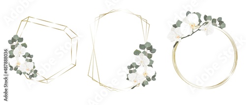 Vector flower set. Golden frames, white orchids, eucalyptus. Wedding design set