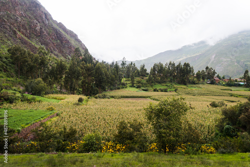 Fototapeta Naklejka Na Ścianę i Meble -  Mountain peaks in the Andes Mountains in Peru. 