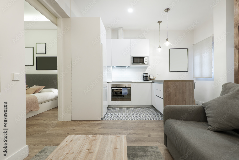 Fototapeta premium Living room and kitchen in a studio furnished with a sofa bed, white furniture and wooden floors