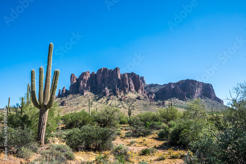 An overlooking view of nature in Apache Junction, Arizona © Cavan