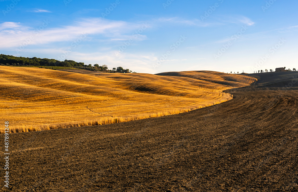 A landscape of plowed and unplowed wheat fields in Tuscany, Italy