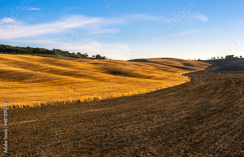 A landscape of plowed and unplowed wheat fields in Tuscany, Italy photo