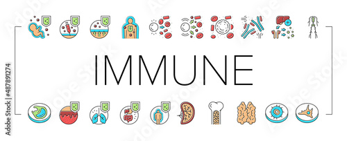 Immune System Disease And Treat Icons Set Vector .