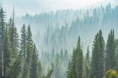 Fotografía Wildfire haze at Warm Spring, Yellowstone National Park, Wyoming