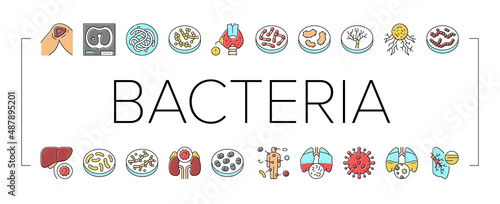 Bacteria Infection Collection Icons Set Vector .