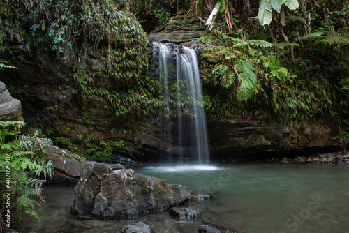 Waterfall in Tropical Forest