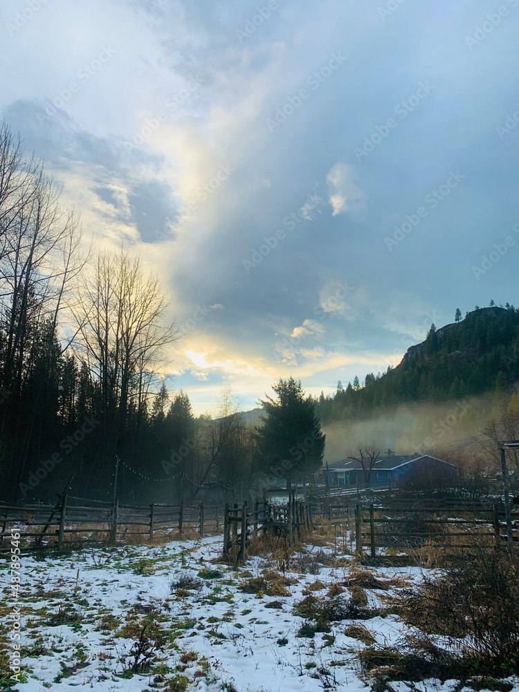 Fototapeta premium sunset on the farm