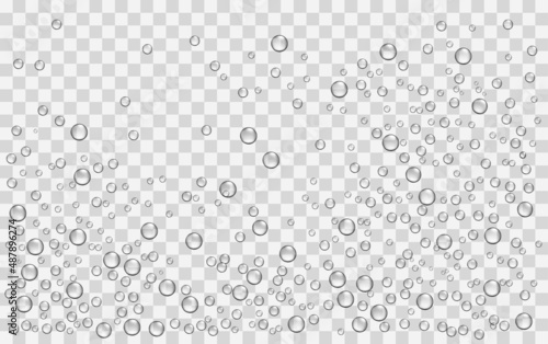 Realistic rain drops, air bubblies, oxygen on the transparent background. Vector
