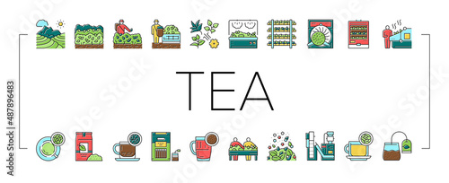 Tea Drink Production Collection Icons Set Vector .