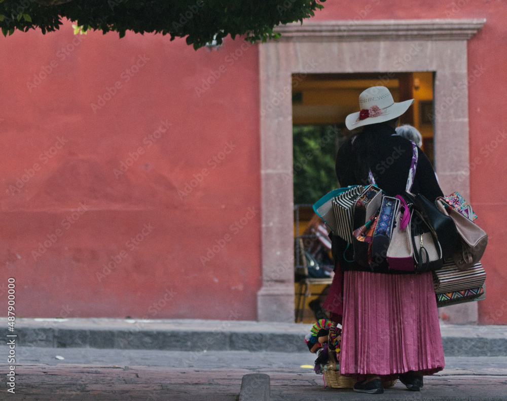 Fototapeta premium lady with bags