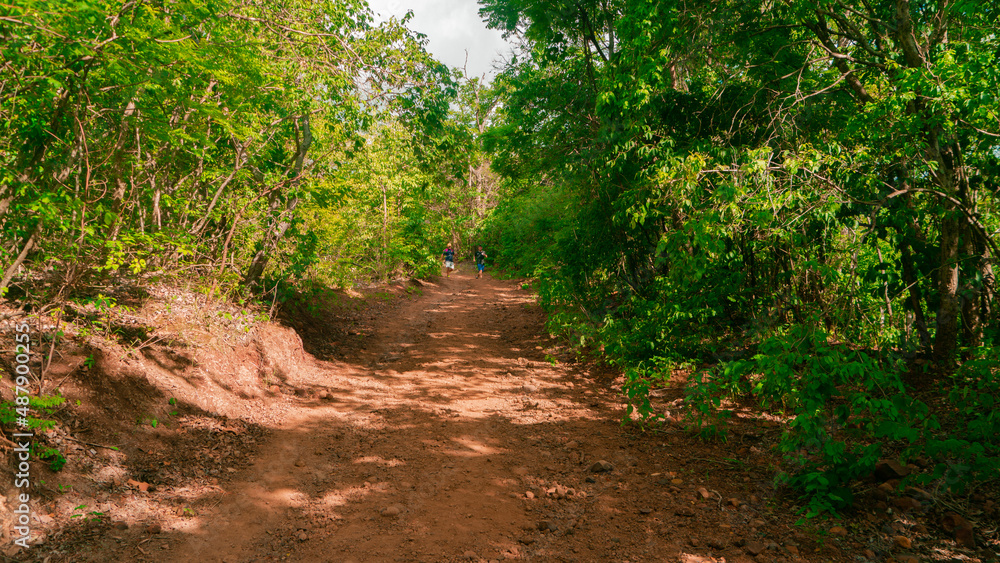 Obraz premium wallpaper lc