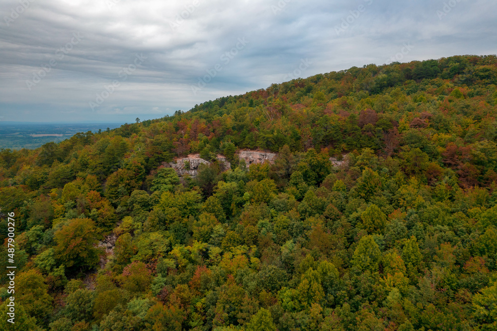 Obraz premium Aerial View of Fall Trees with Foliage in Maryland 