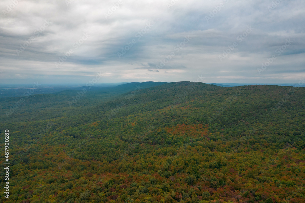 Aerial View of Fall Trees with Foliage in Maryland 