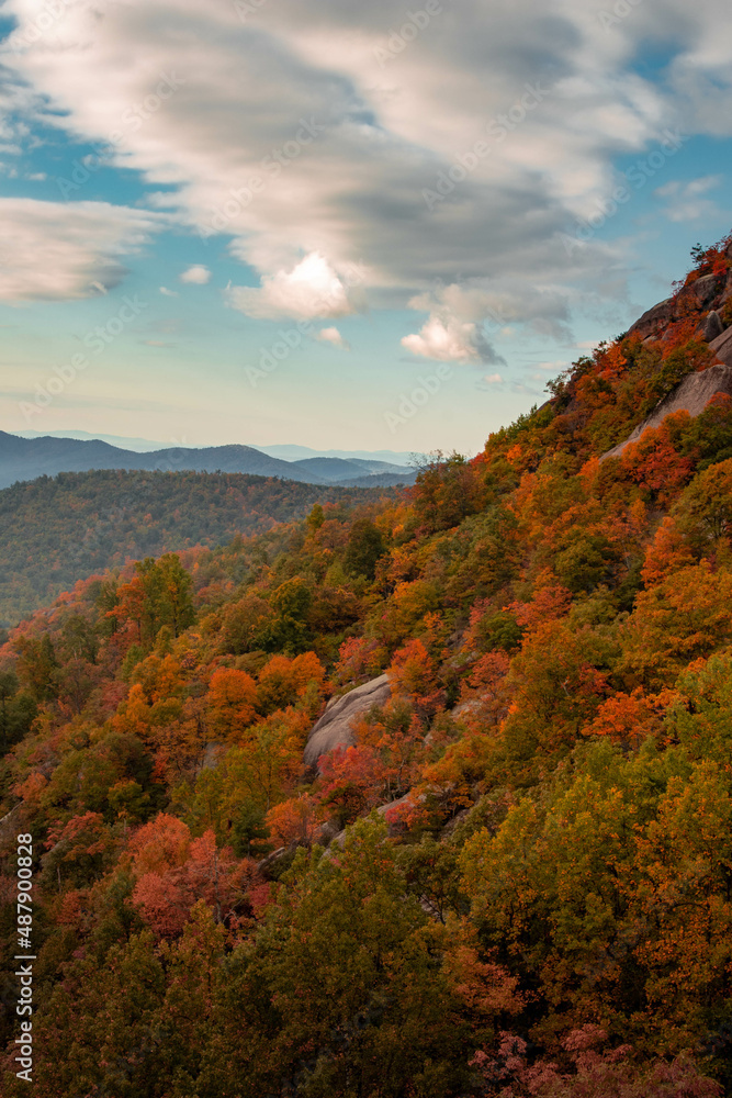 Old Rag Virginia Trees with Foliage Old Rag Virginia Trees with Foliage