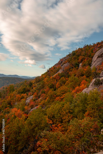 Old Rag Virginia Trees with Foliage 