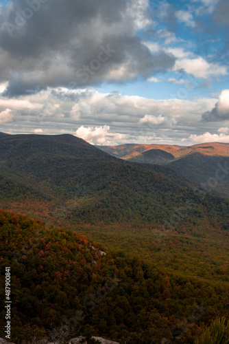 Fototapeta Naklejka Na Ścianę i Meble -  View of Fall Foliage Trees from Old Rag Mountain in Virginia