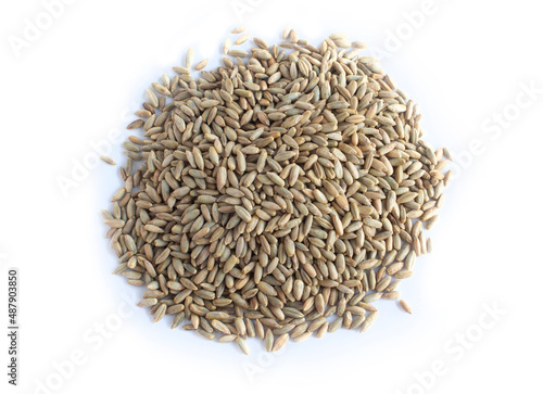 Whole Grain Rye Berries in Heap or Pile Isolated on White