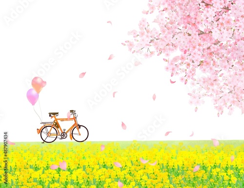 菜の花の咲く河川敷に風船の付いた自転車と美しく華やかな桜の花びら舞い散る風景白バックフレーム背景素材
